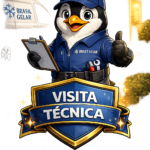 Visita Técnica